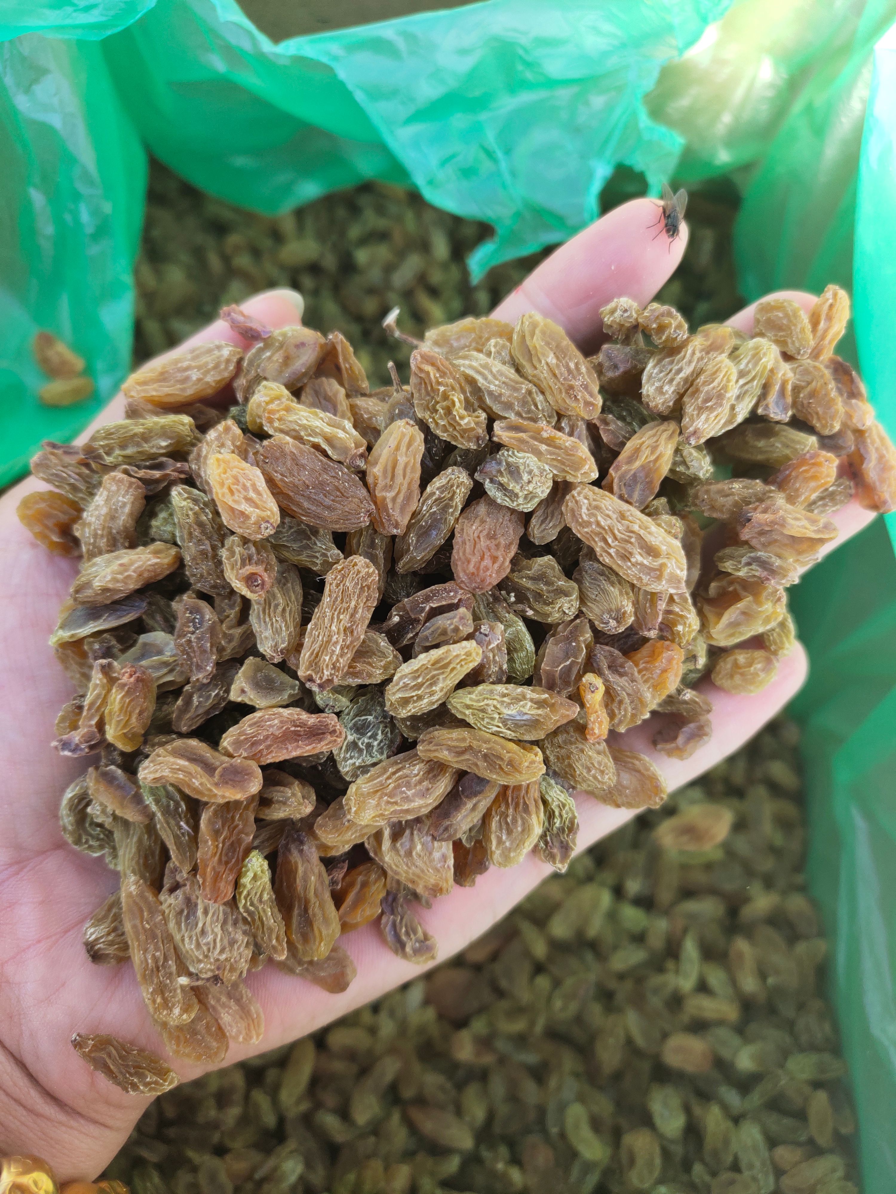 绿葡萄干  新疆吐鲁番市葡萄干零食