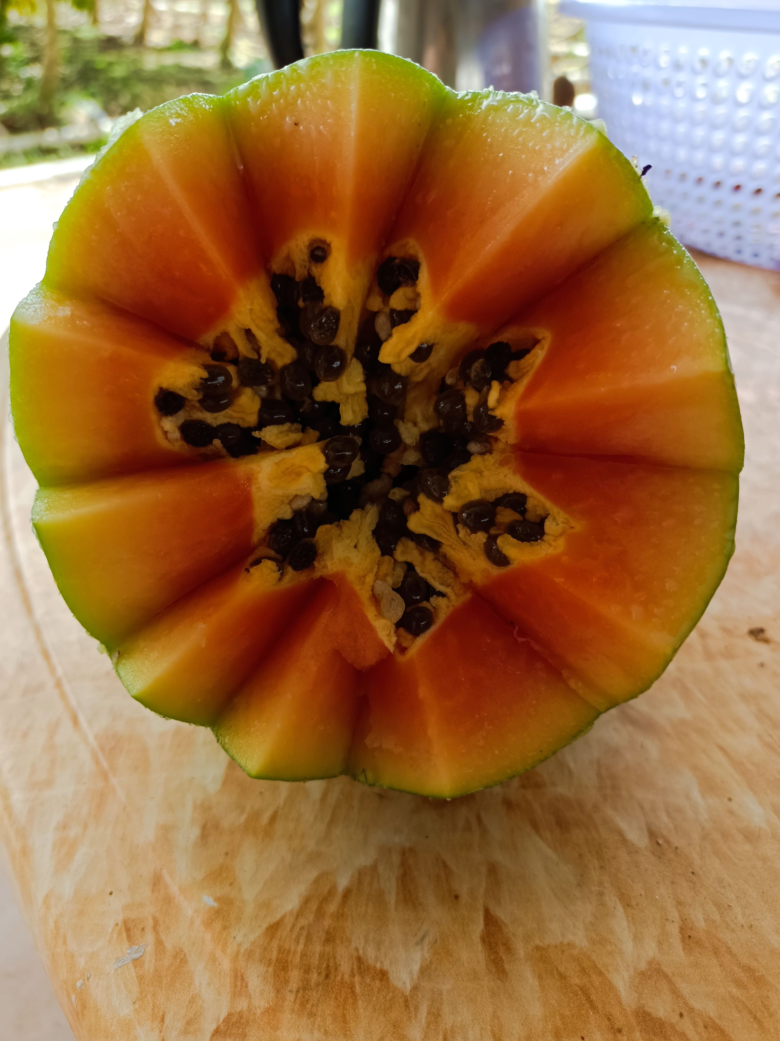  大青木瓜，几百亩产地大量有货，可以做市场，电商。