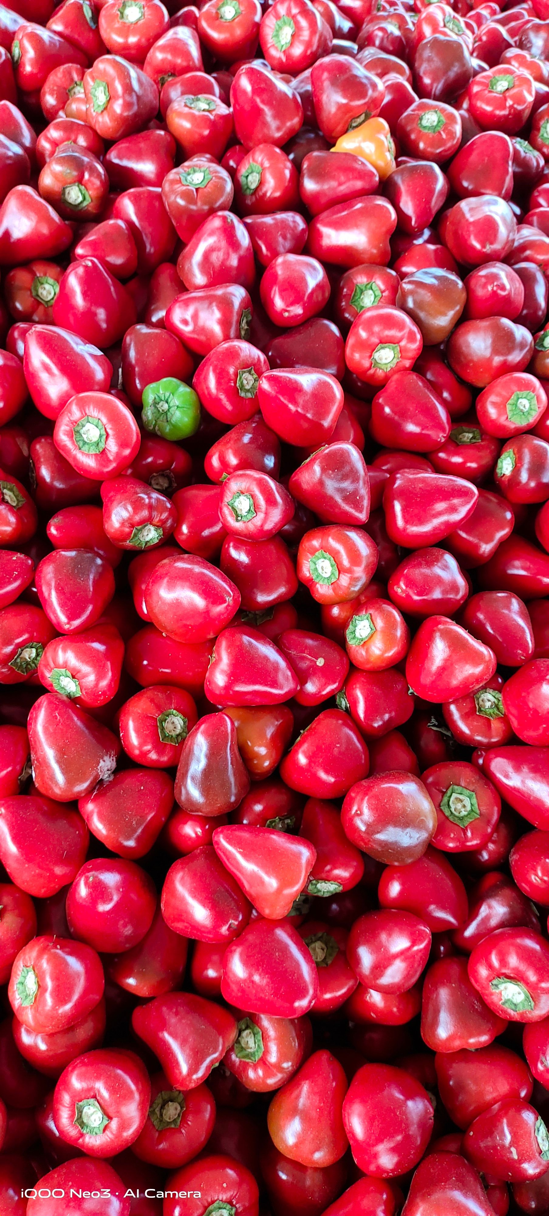 草莓椒  草莓辣椒，真空包装腌制中，  大量有货，  需要的请联系我。