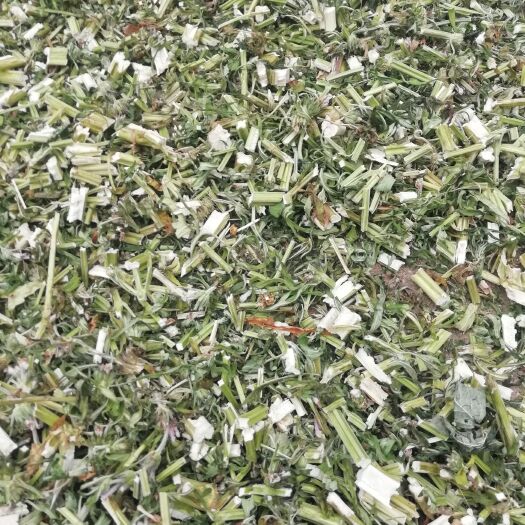汝阳县益母草，切段干品现货