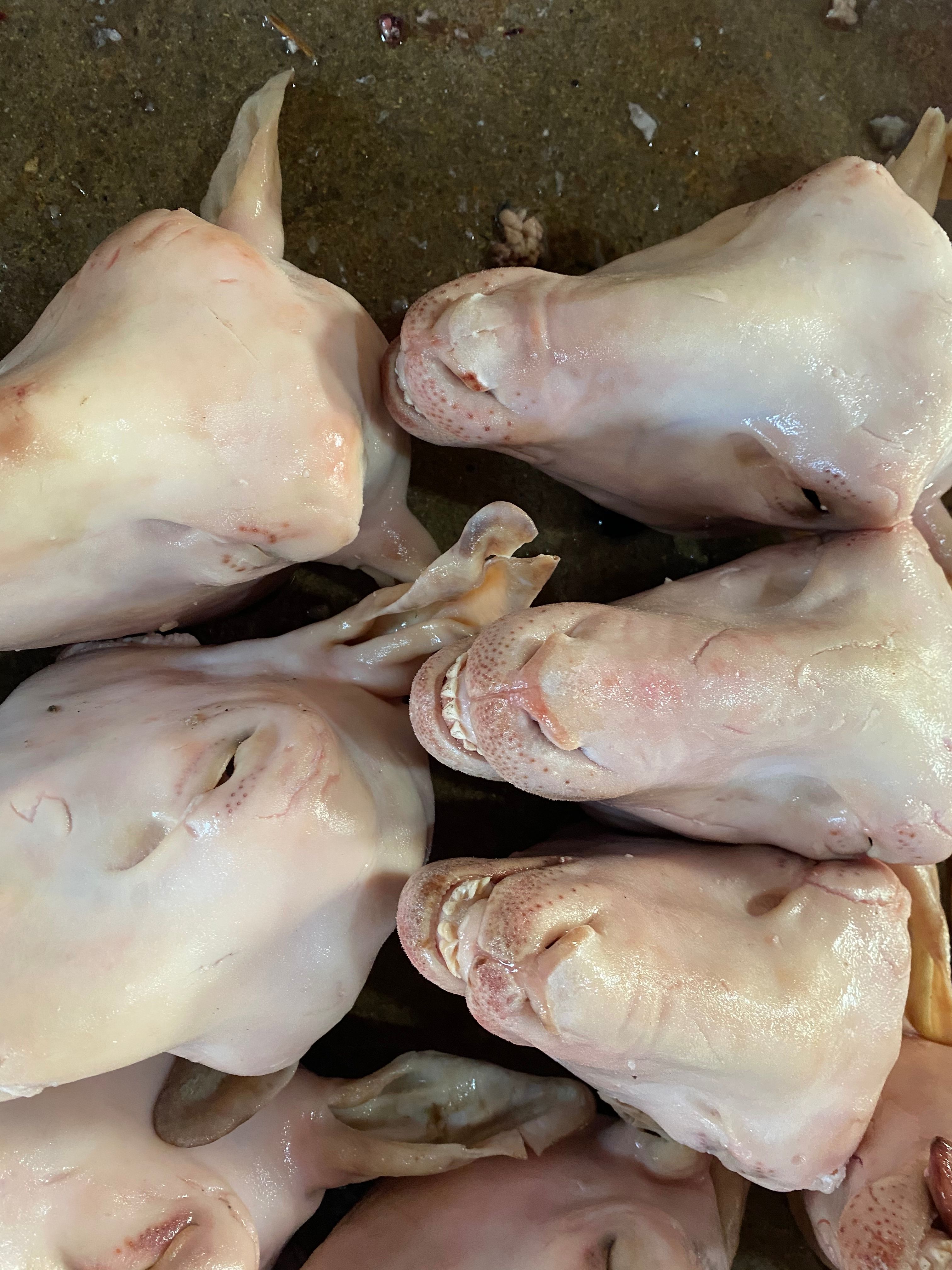 羊头   麻辣羊头专用