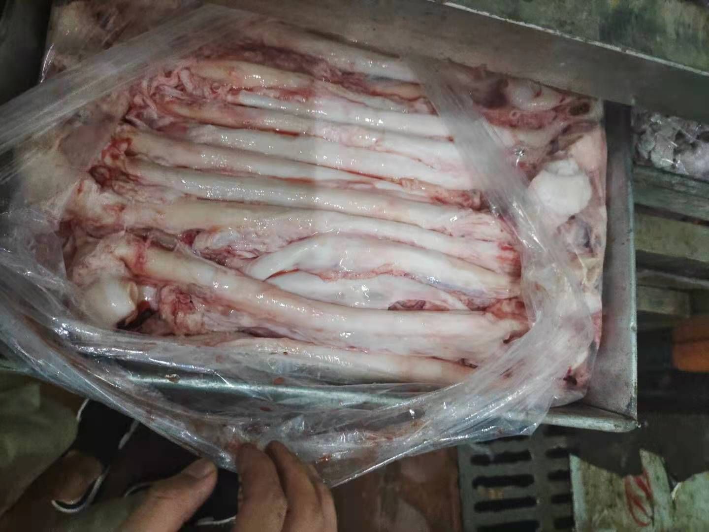  猪黄喉