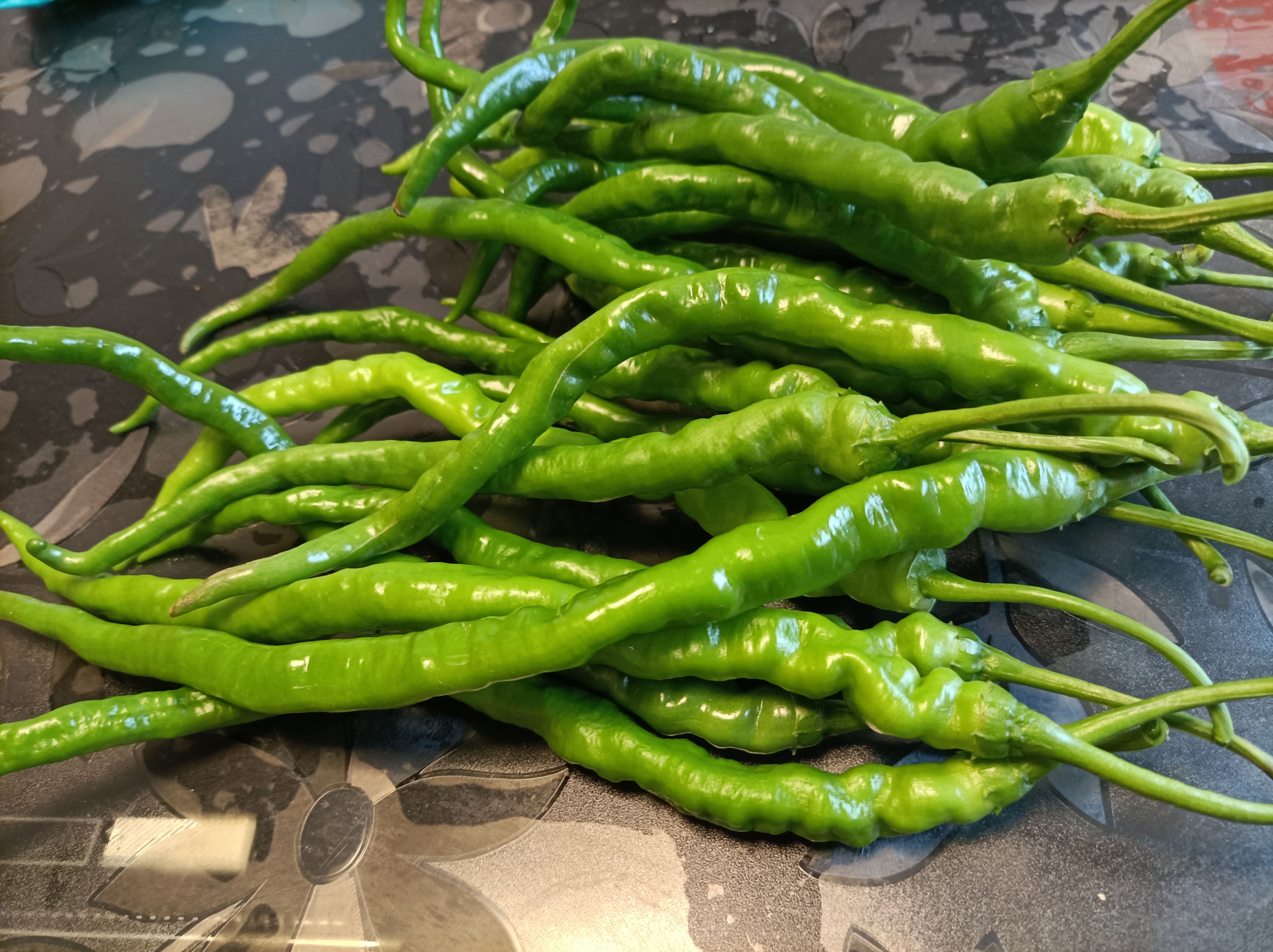 皱皮椒  贵州大方皱椒辣椒线椒种植基地批发零售