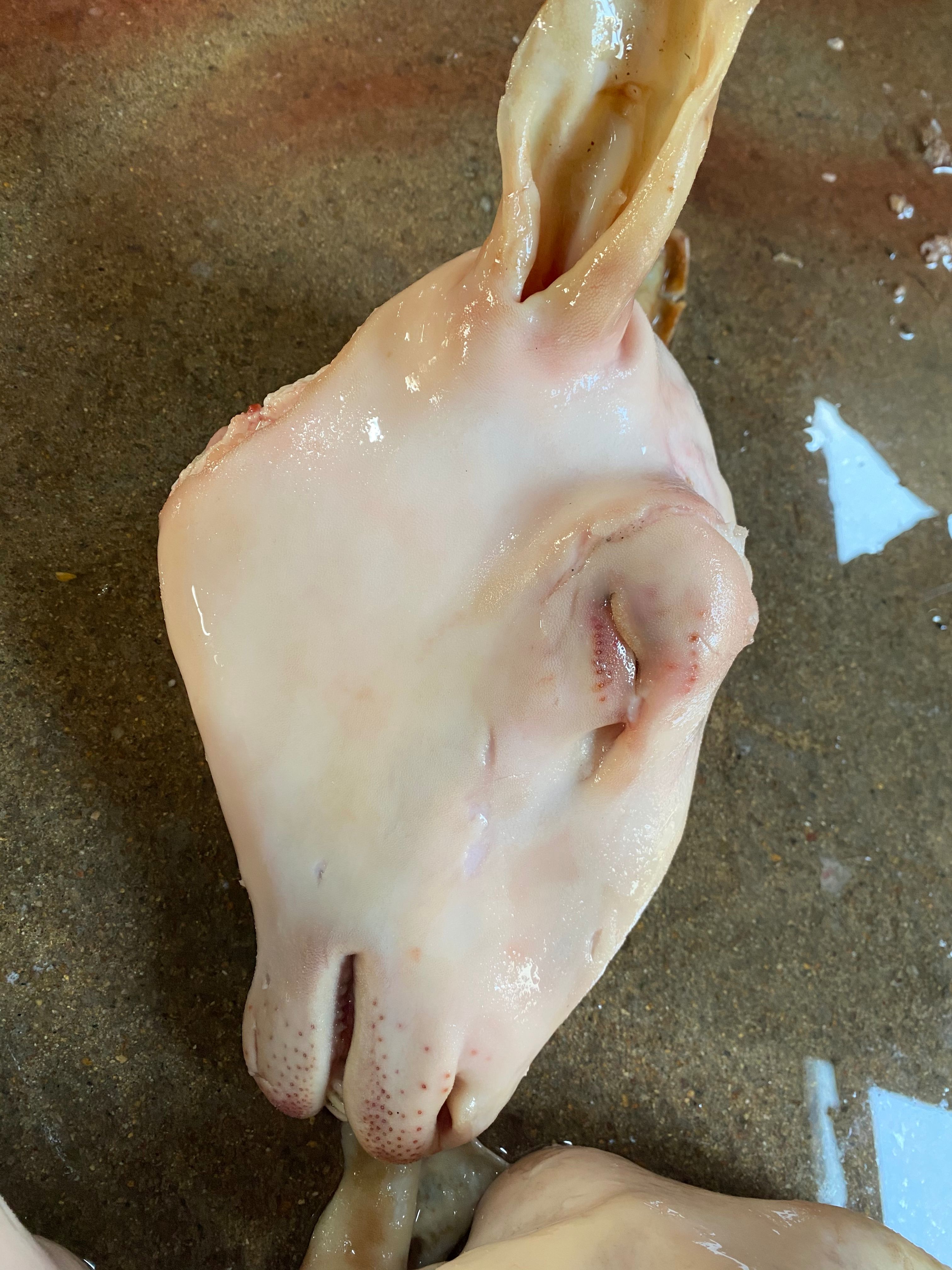 羊头   麻辣羊头专用