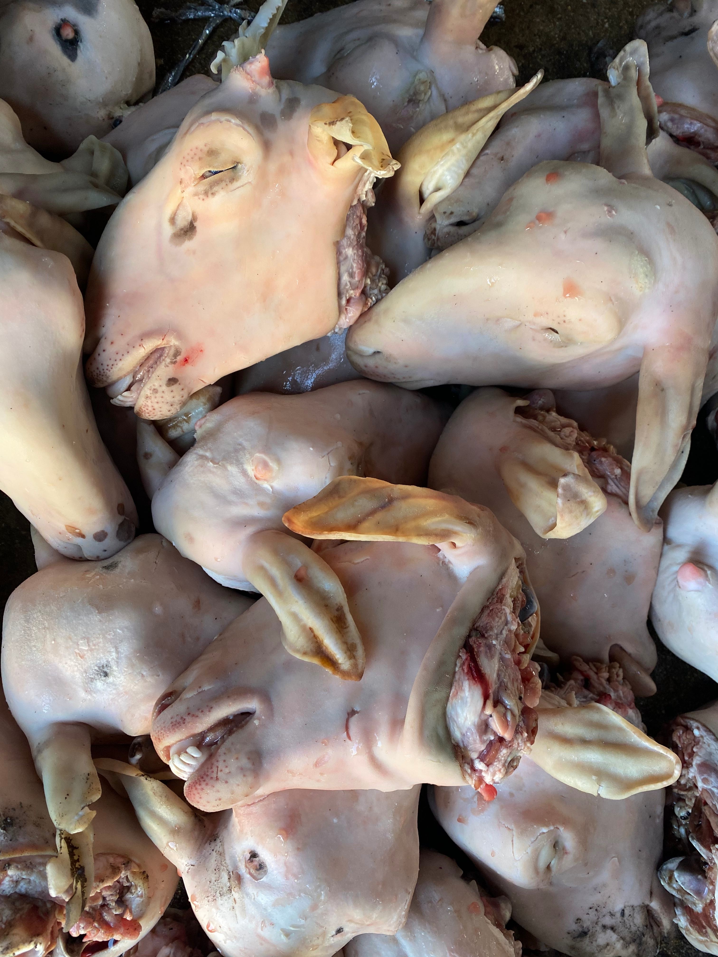 羊头   麻辣羊头专用