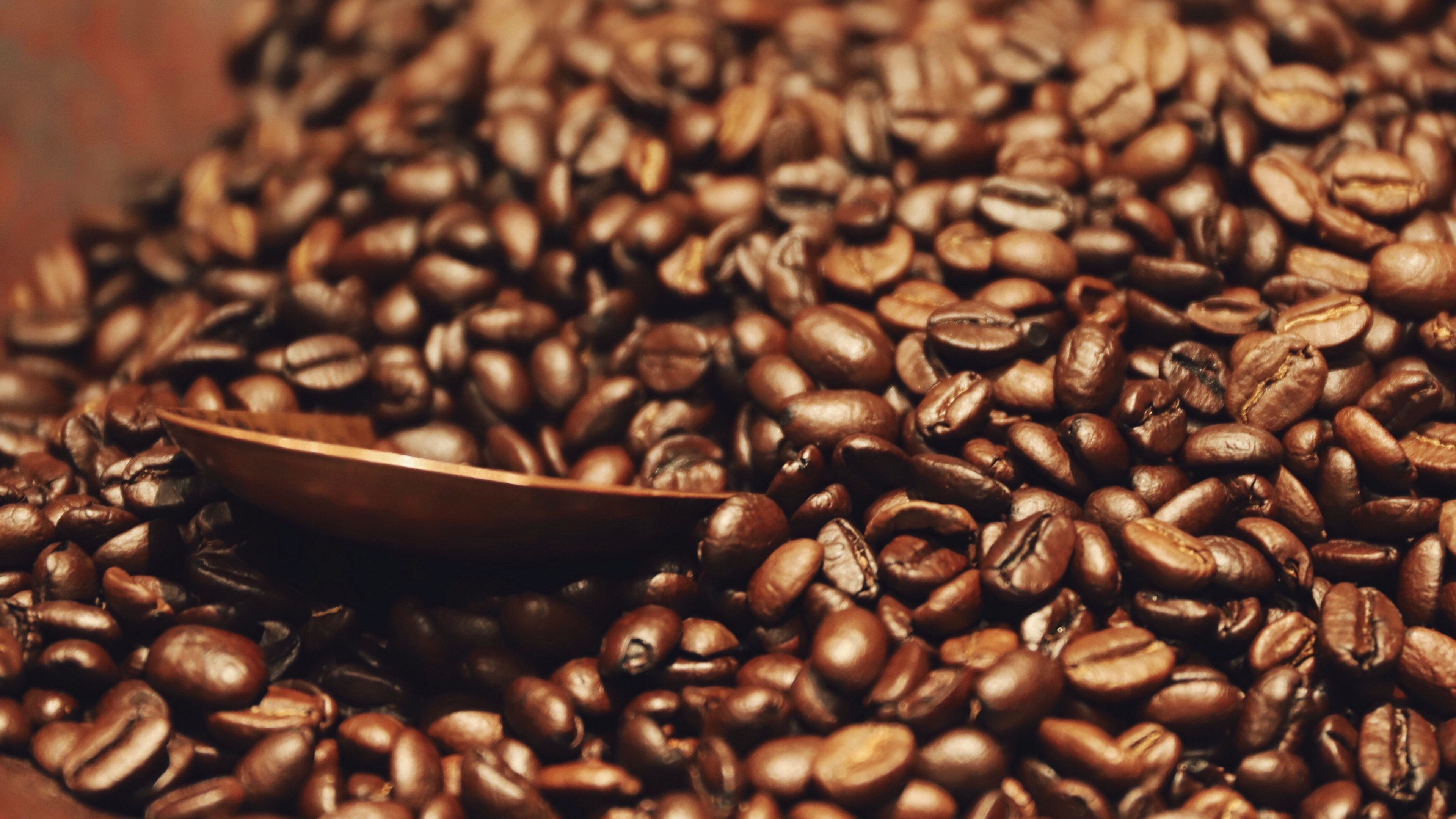 正宗海南兴隆咖啡豆