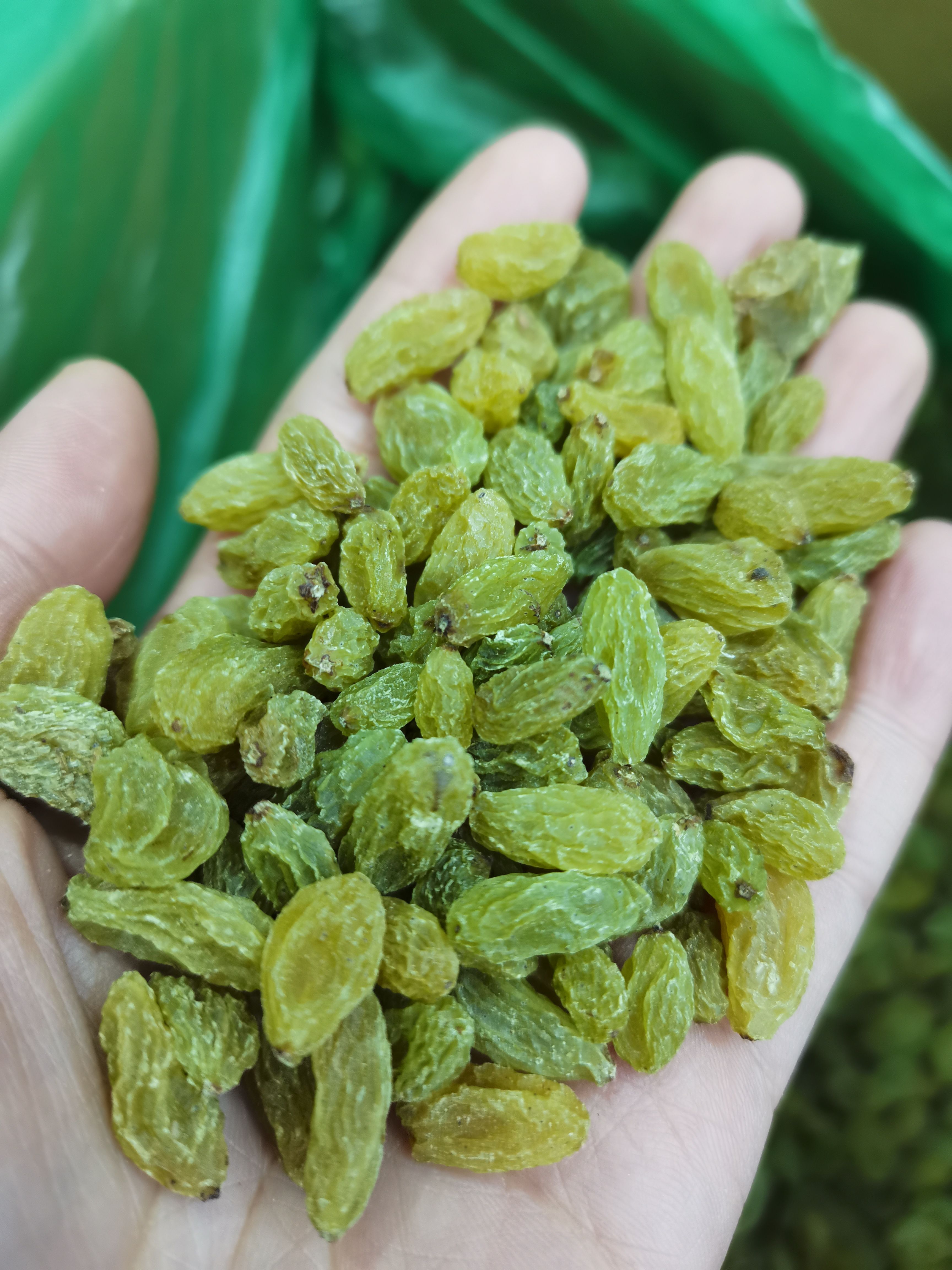 新货，中颗粒绿葡萄干19斤！160一箱.纯绿葡萄干