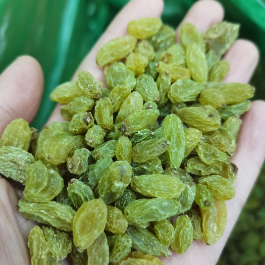 西安新货，中颗粒绿葡萄干19斤！160一箱.纯绿葡萄干