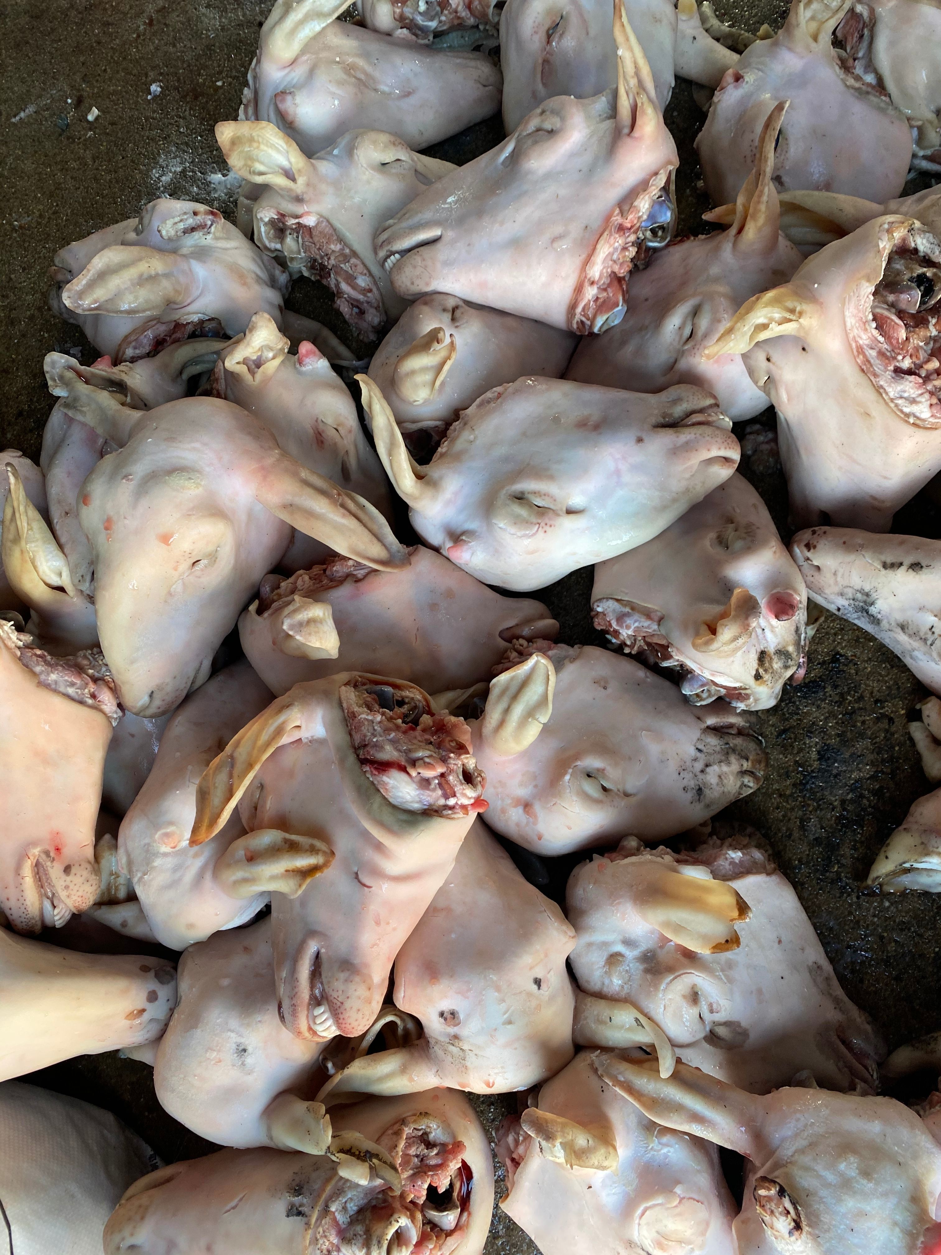 羊头   麻辣羊头专用