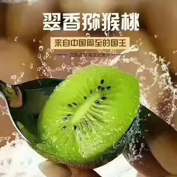 陕西周至翠香猕猴桃现摘现发新鲜包邮坏果包赔支持一件代发