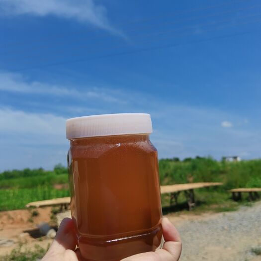 祁东县野蜂蜜  农家土蜂蜜 百花蜜原蜜一斤装一瓶 自产自销