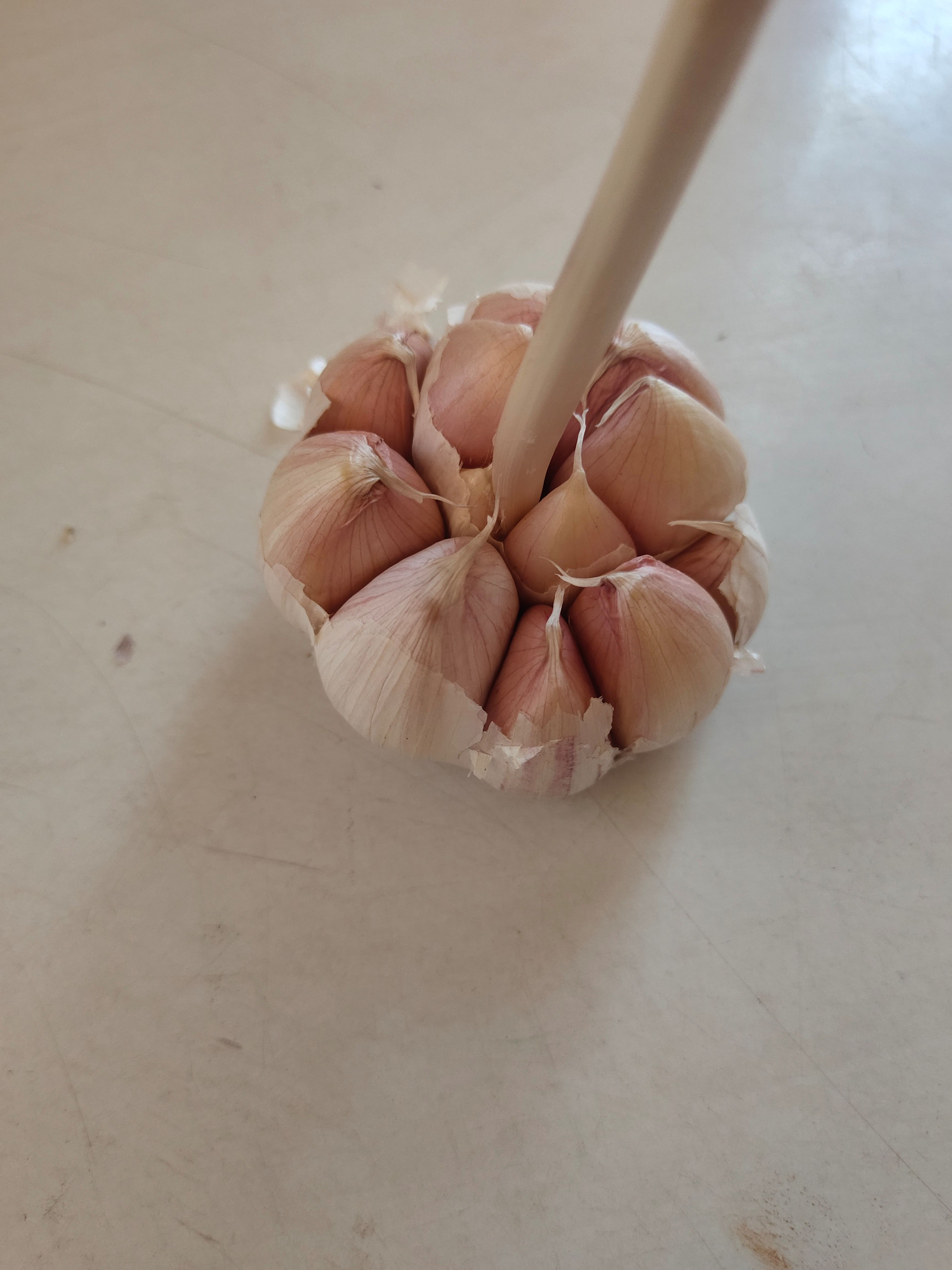 红皮蒜  济南大青稞蒜