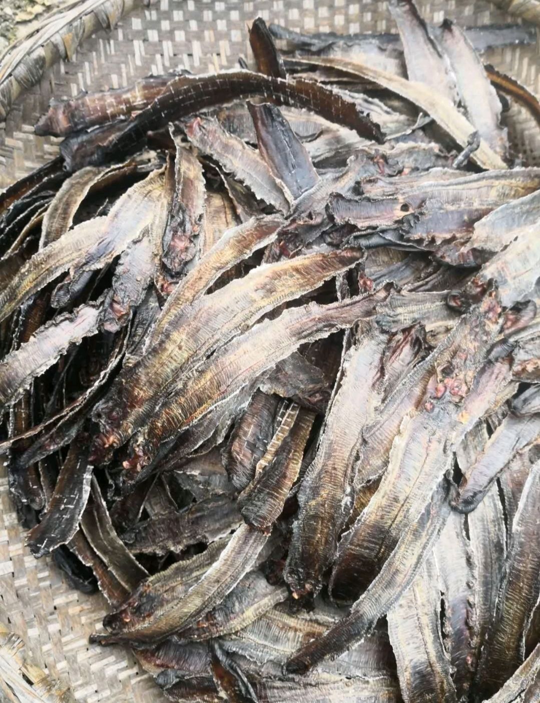 土蚯蚓 长期供应，蚯蚓，纯正广地龙