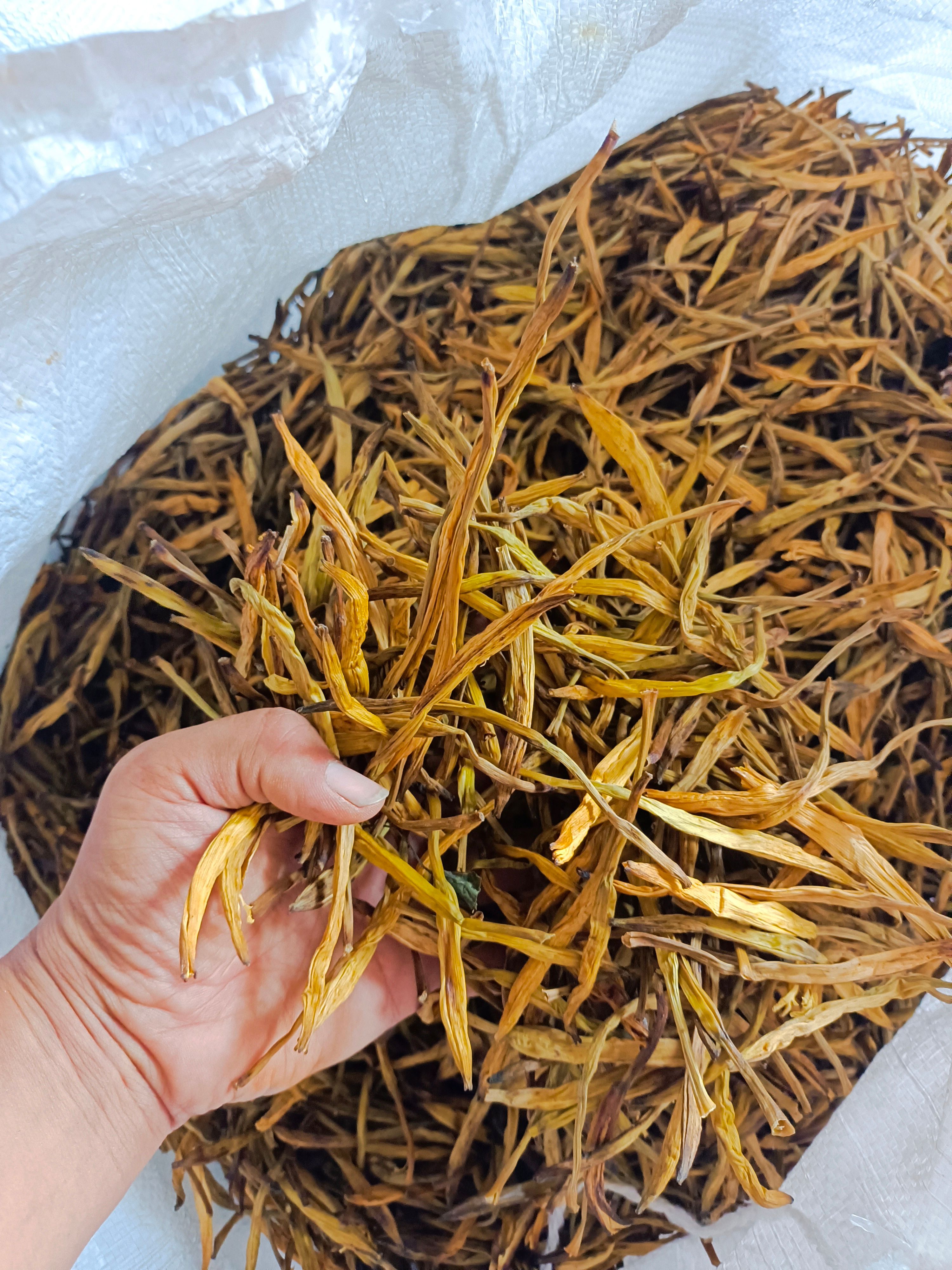  黄花菜，烤炉菜，物流，条大肉厚，价格便宜