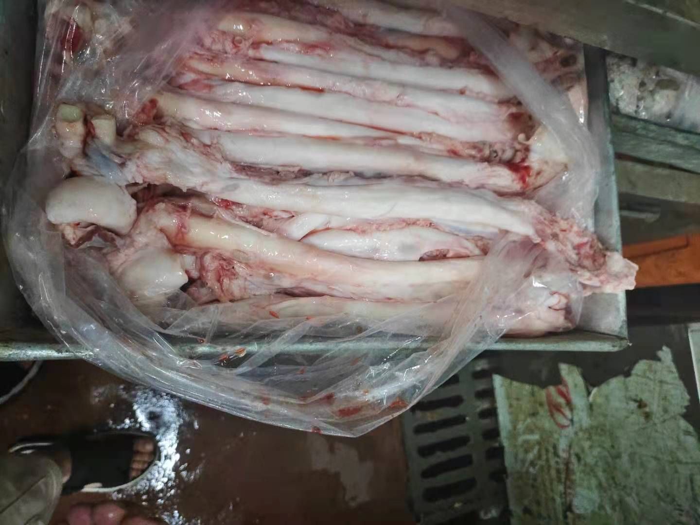  猪黄喉