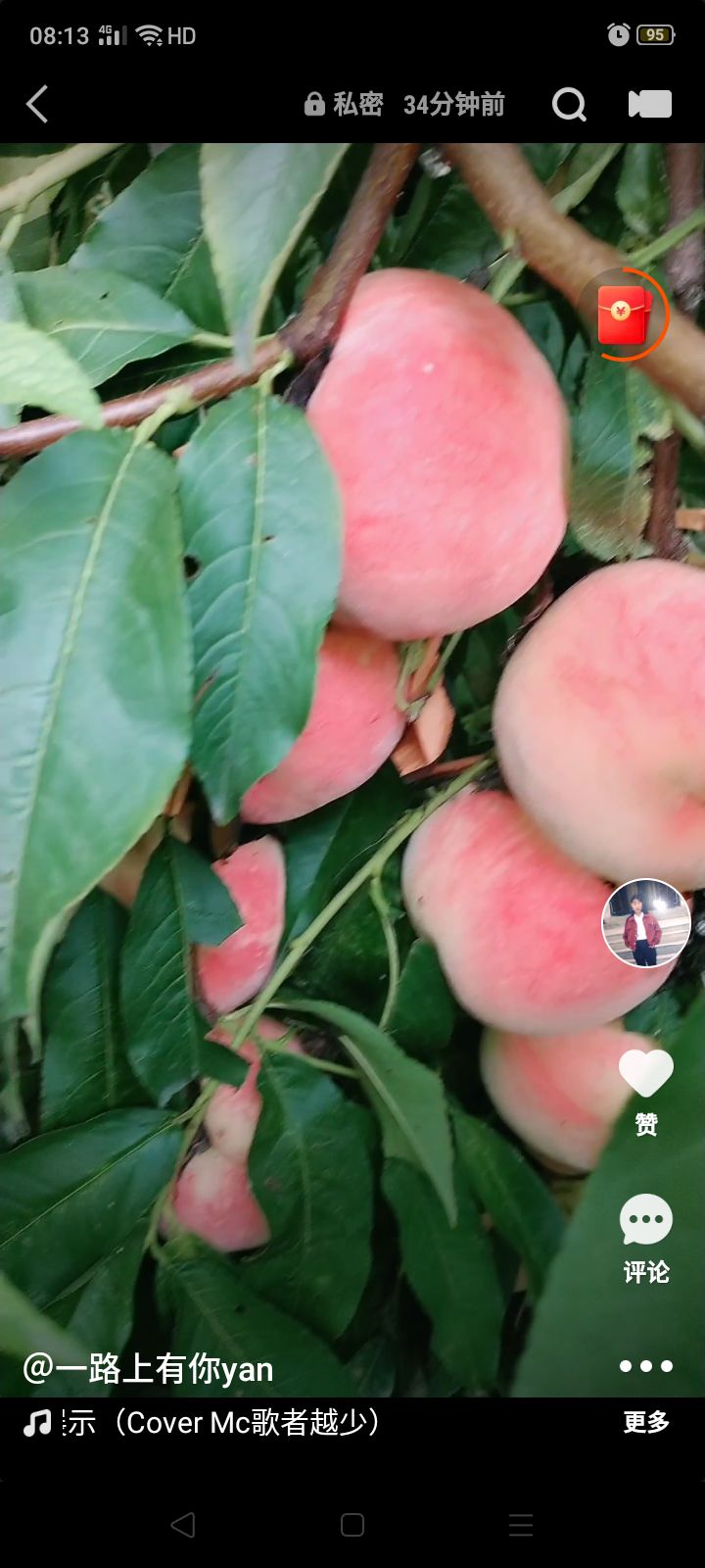 永莲蜜桃 自家种的蜜桃，剂，又大又软，鲜甜可口。