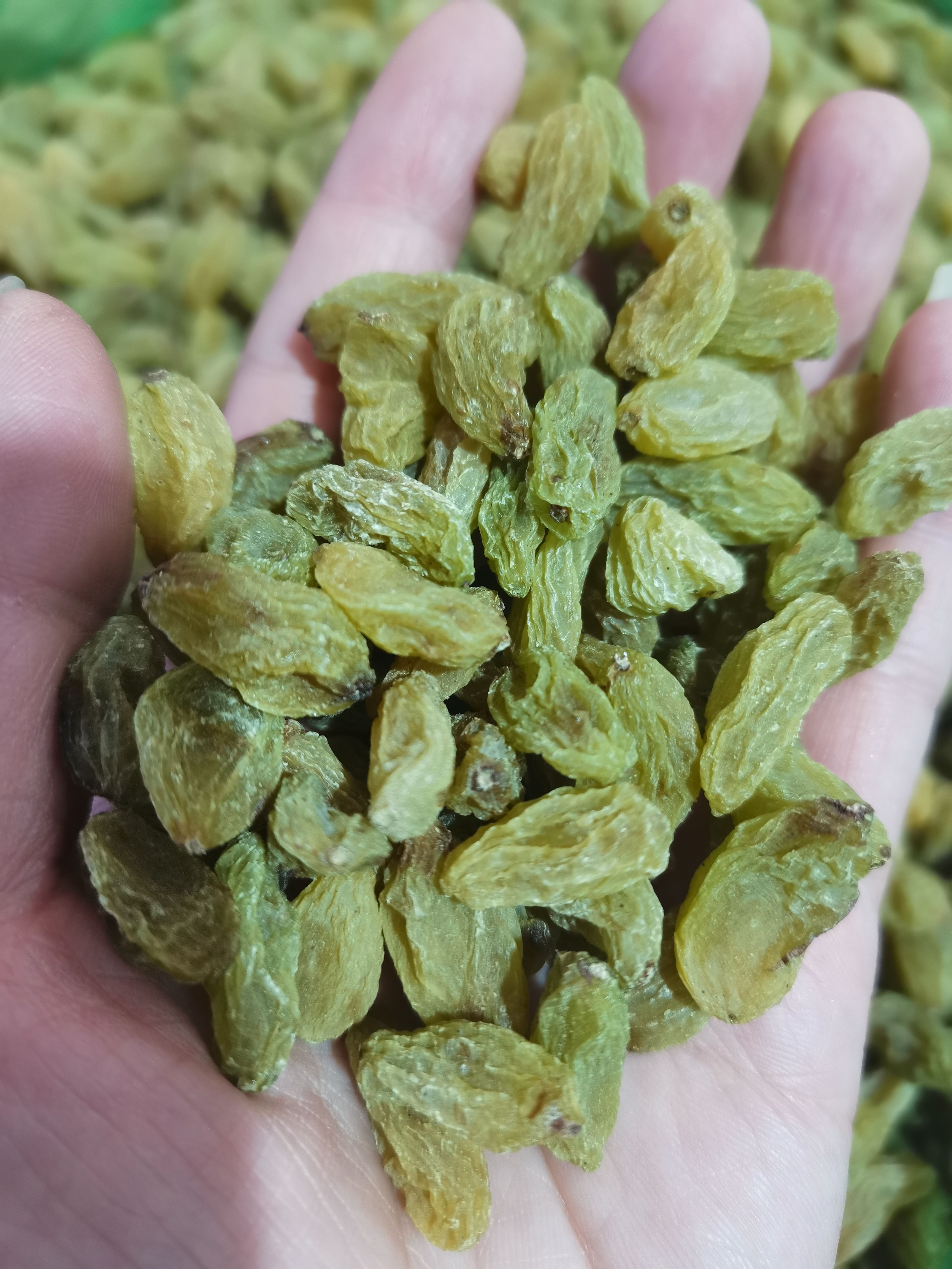 无核葡萄干  中绿葡萄干，2025年新货颗粒饱满干度好一箱1