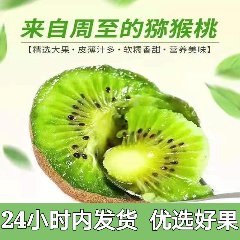陕西周至翠香猕猴桃现摘现发新鲜包邮坏果包赔支持一件代发