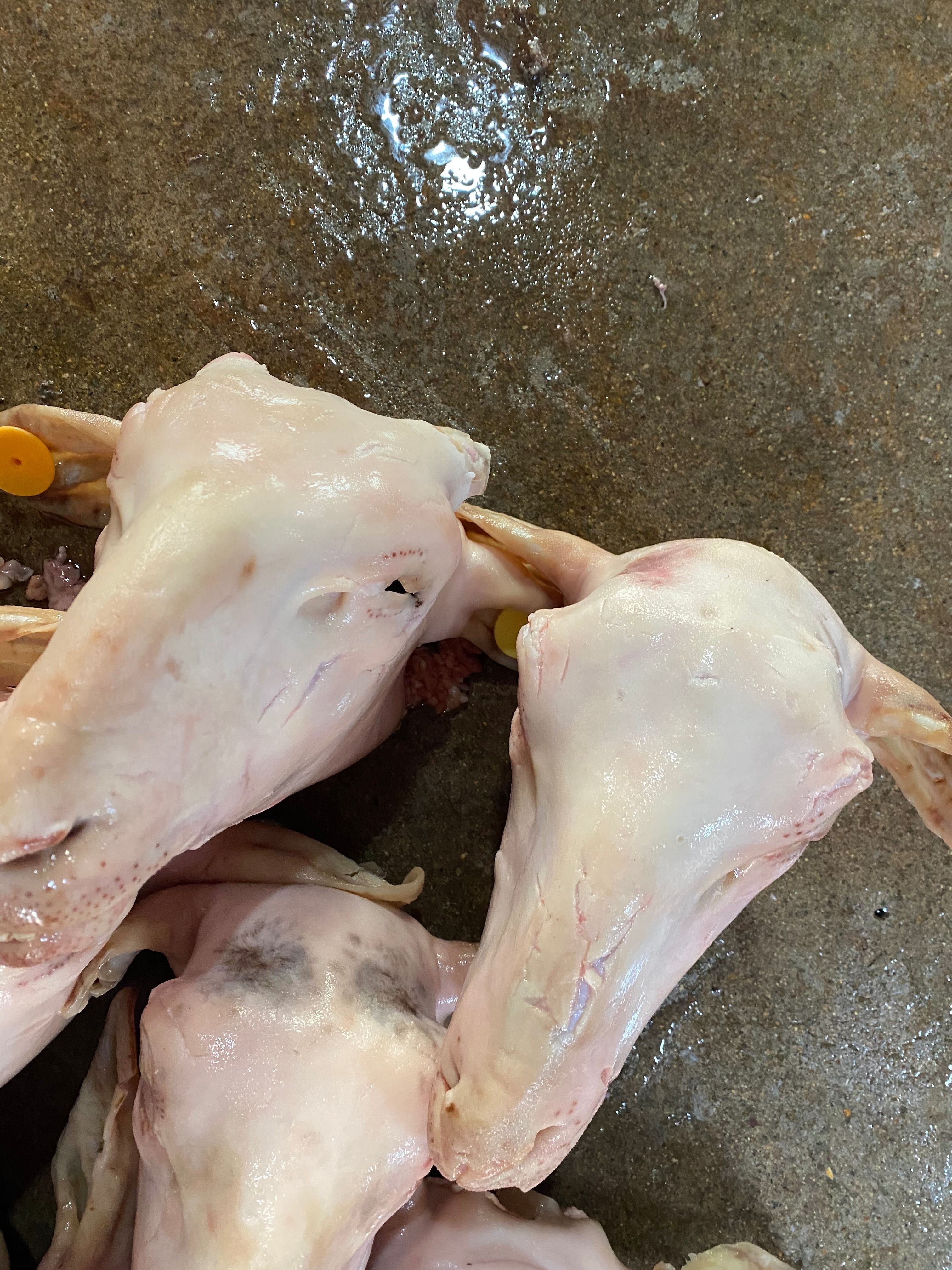 羊头   麻辣羊头专用