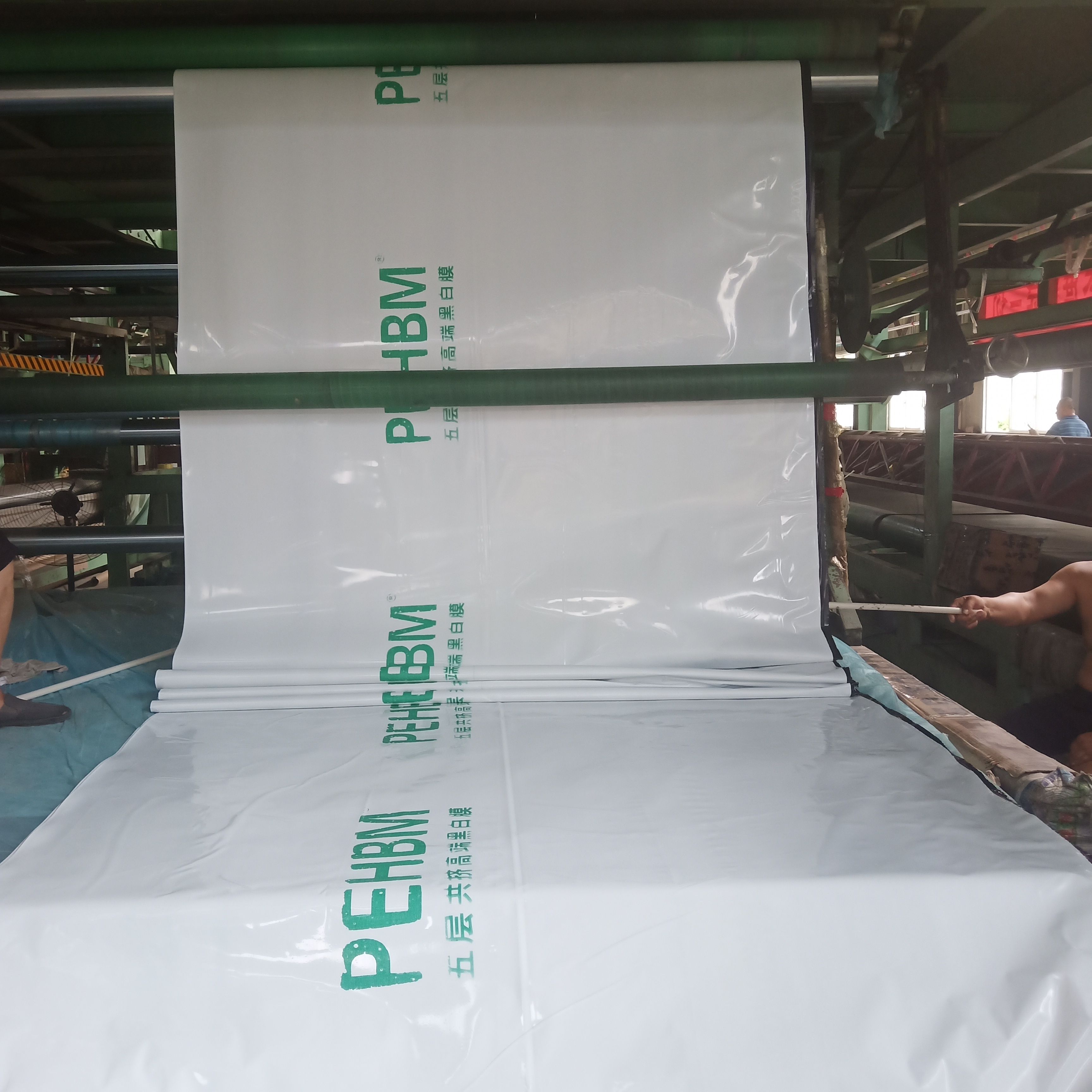 各种棚膜:长寿黑白养殖膜，茂金属双防膜，淡蓝精品PO膜。