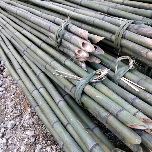 邻水县大棚竹竿  (欢迎来电）菜架竹子，果树支撑架，产地直销