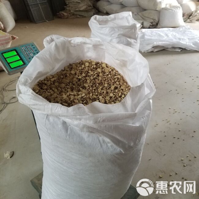  黄芪片黄芪内蒙黄芪片产地大量批发黄芪片新货