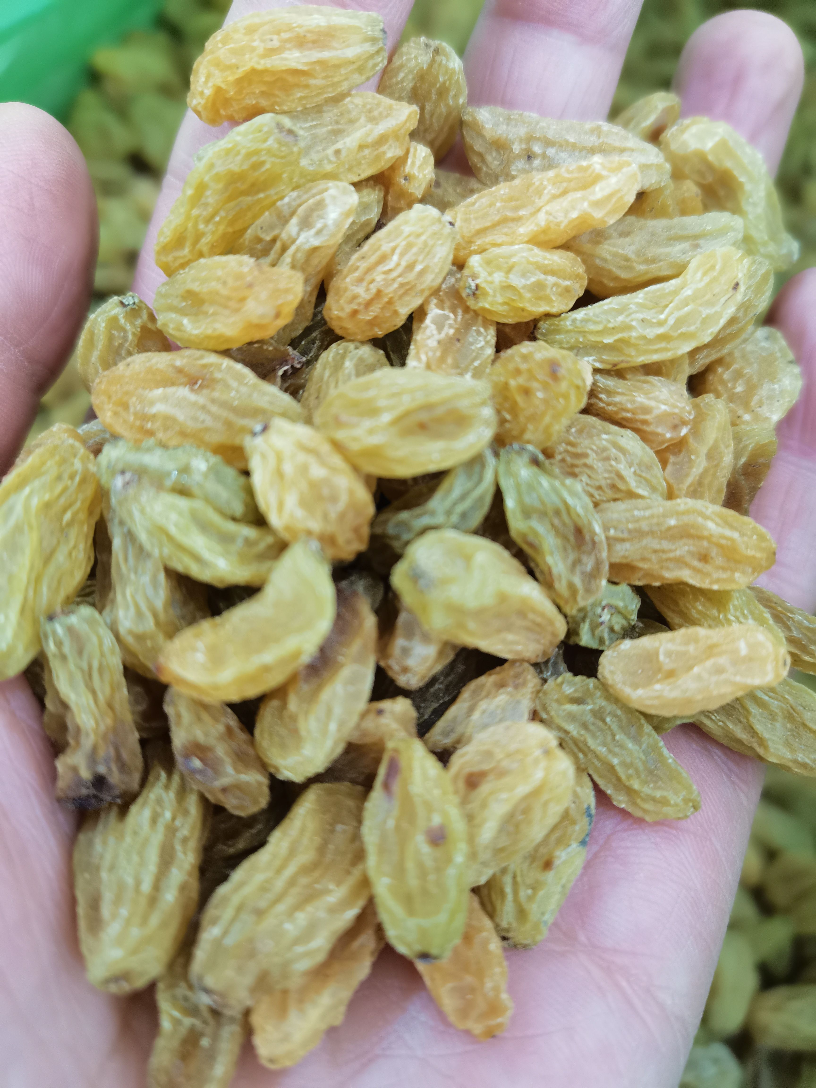 无核葡萄干  优惠葡萄干180元一箱，新货，数量不多，