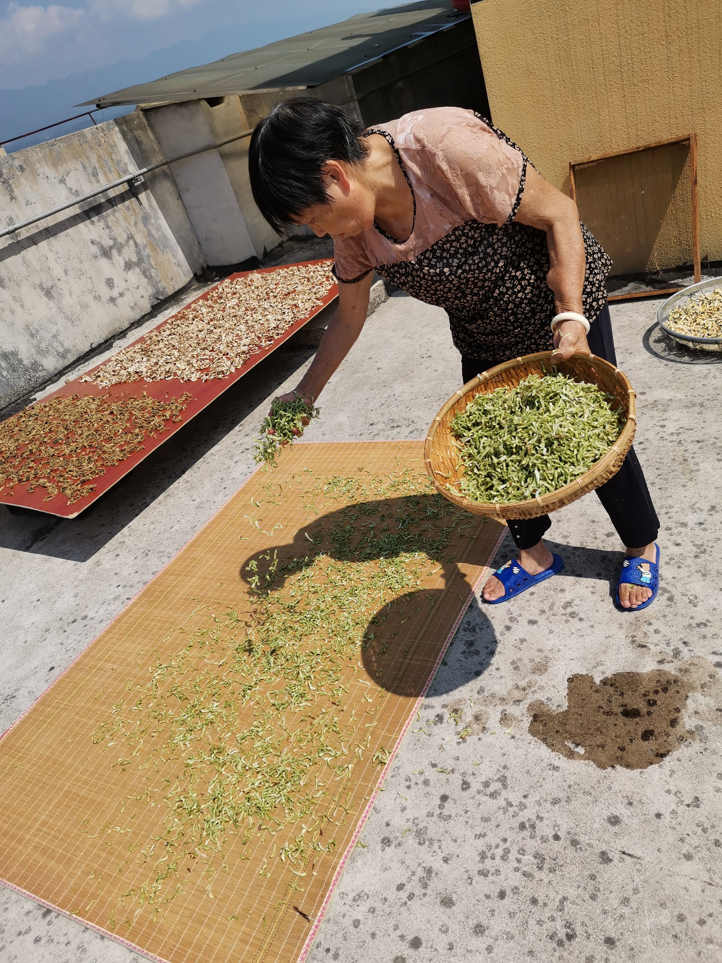干豆角  落马垅杂菜