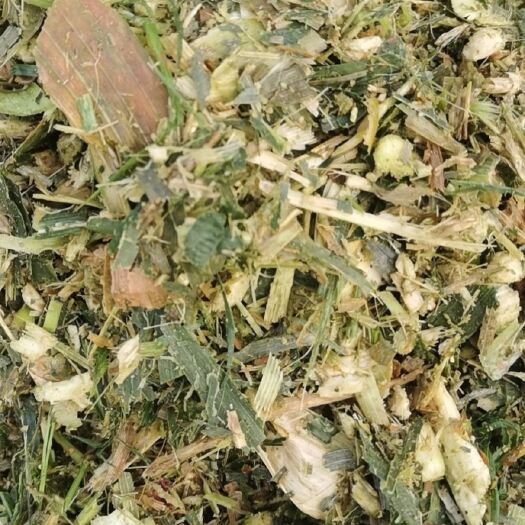 怀安县青储草  牛羊育肥草料