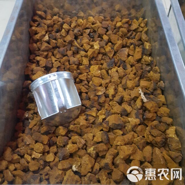  俄罗斯 桦树泪 俄罗斯桦树茸泡茶桦树茸桦树泪