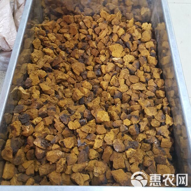  桦树泪  桦树茸 俄罗斯桦树茸 三公分小块