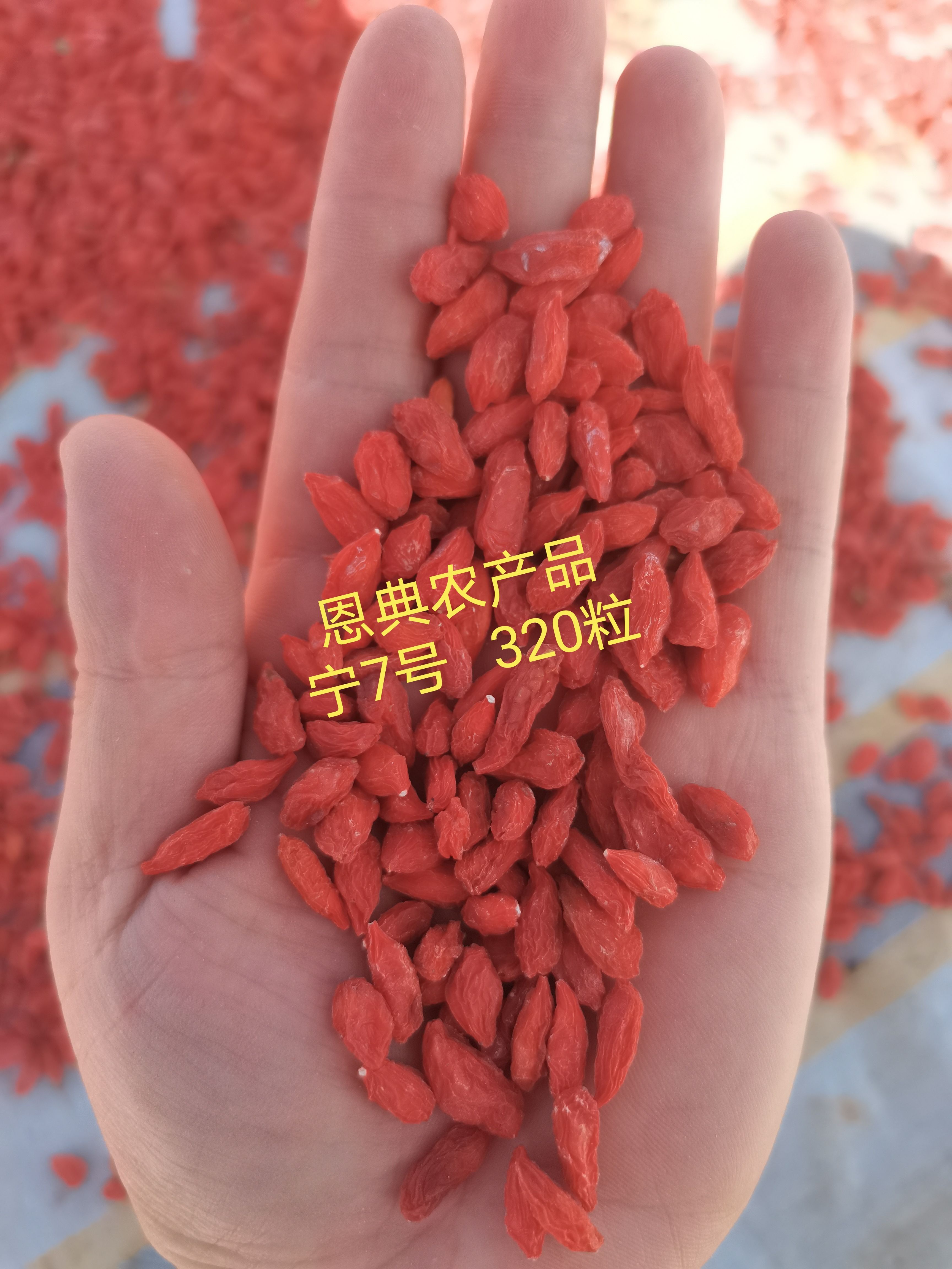 2021年高品质   宁夏红枸杞  各种规格都有