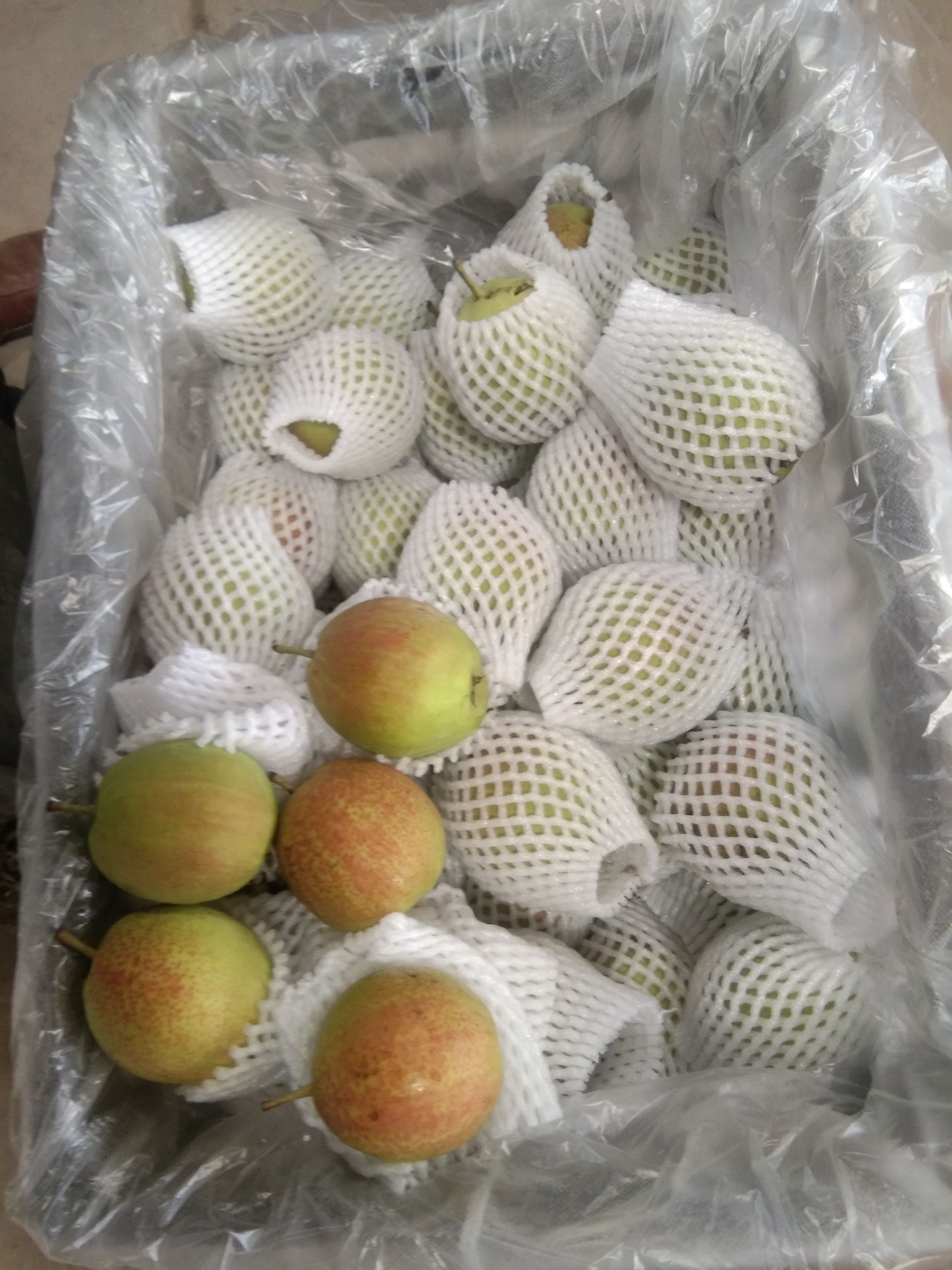  常年大量出售皇冠梨，雪花梨，水晶梨，红香梨，玉露香梨等。