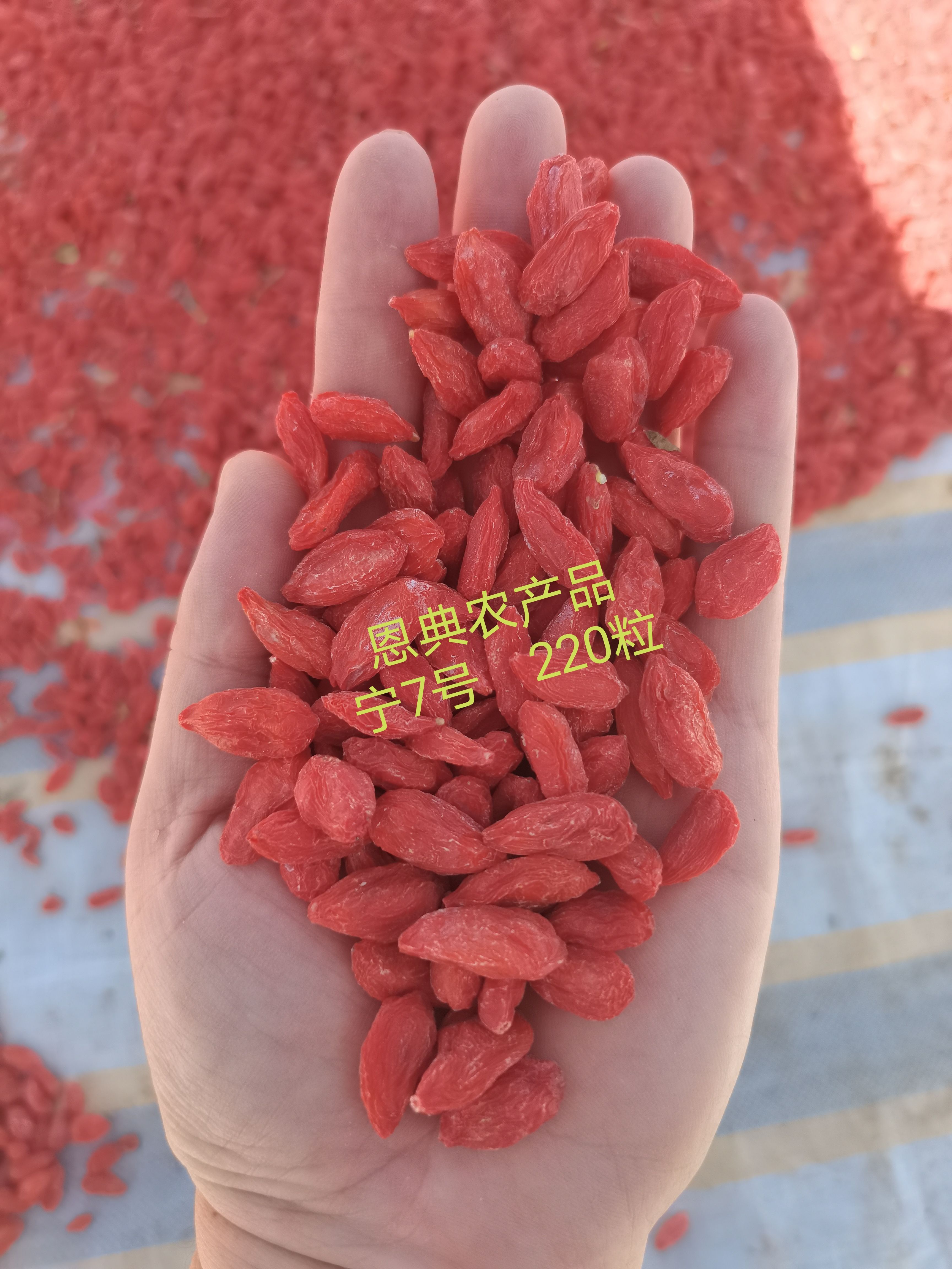 2021年高品质   宁夏红枸杞  各种规格都有