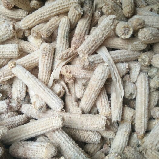 大方县 食用菌原料，玉米芯