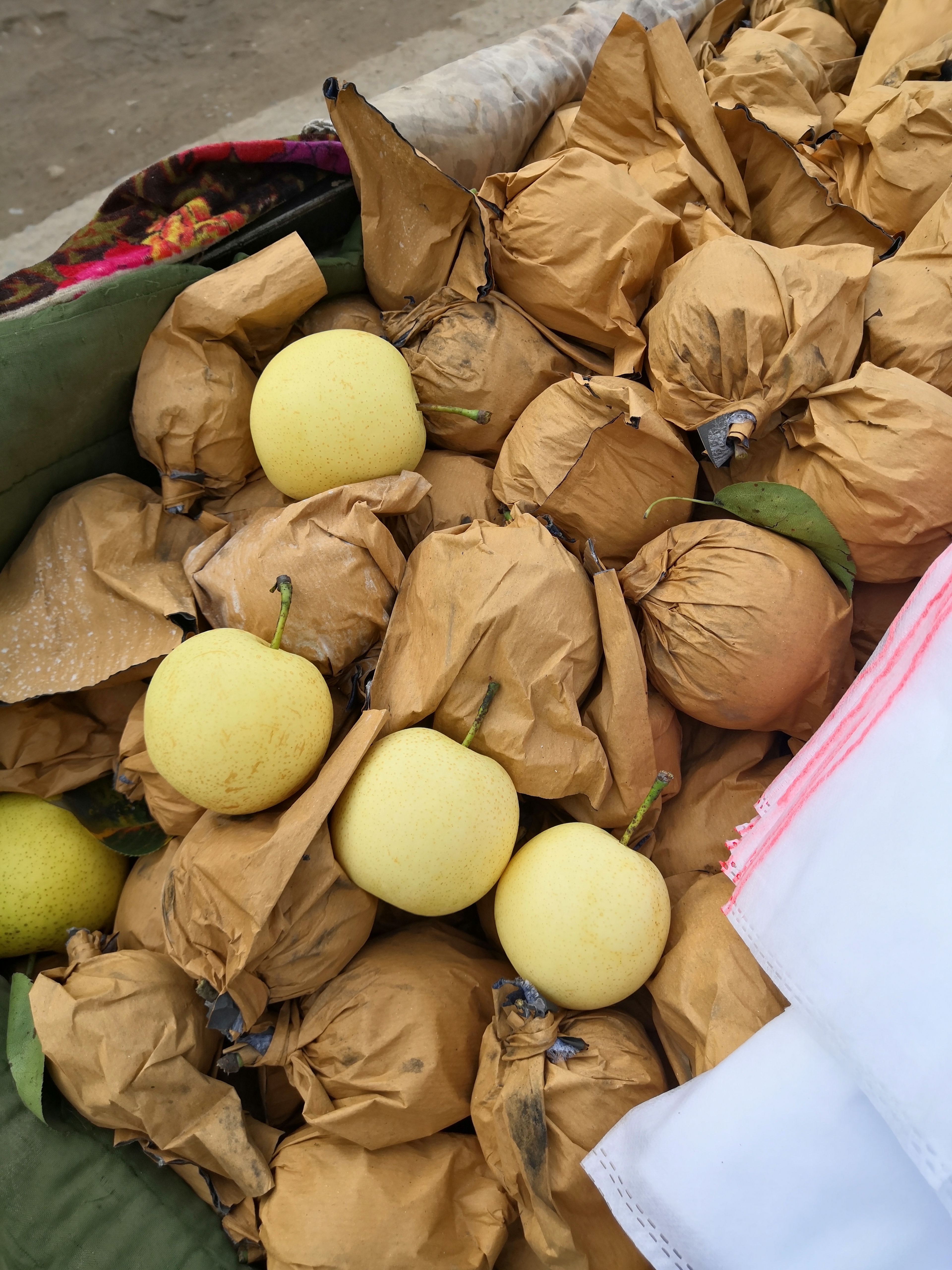 自然成熟皇冠梨，生长期长短决定口感