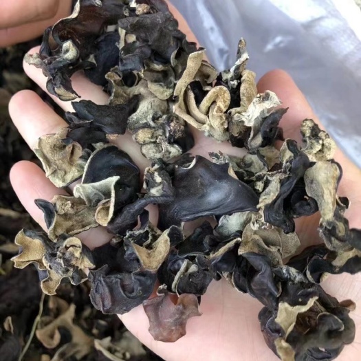 毛木耳，黑木耳 干度好赶集摆摊热卖产品批发