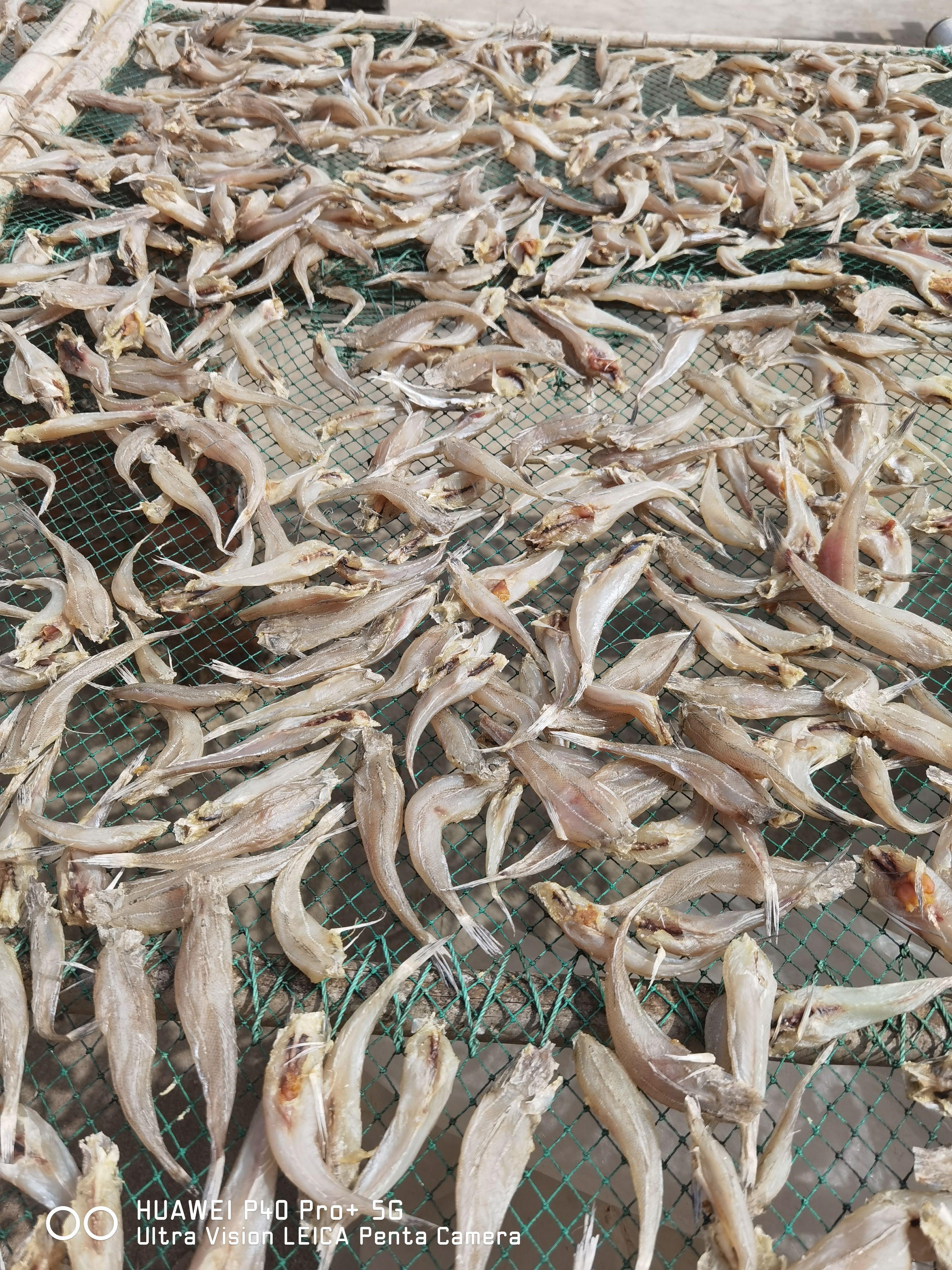 【店家推荐】去下巴沙甲丁鱼 沙丁鱼 干度好 摆摊展销走量王