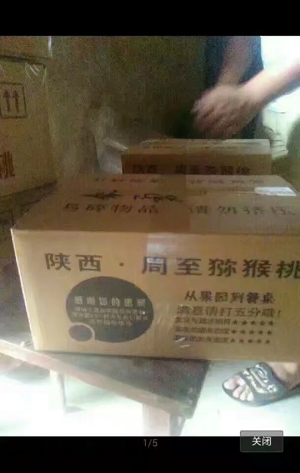 翠香猕猴桃  猕猴桃