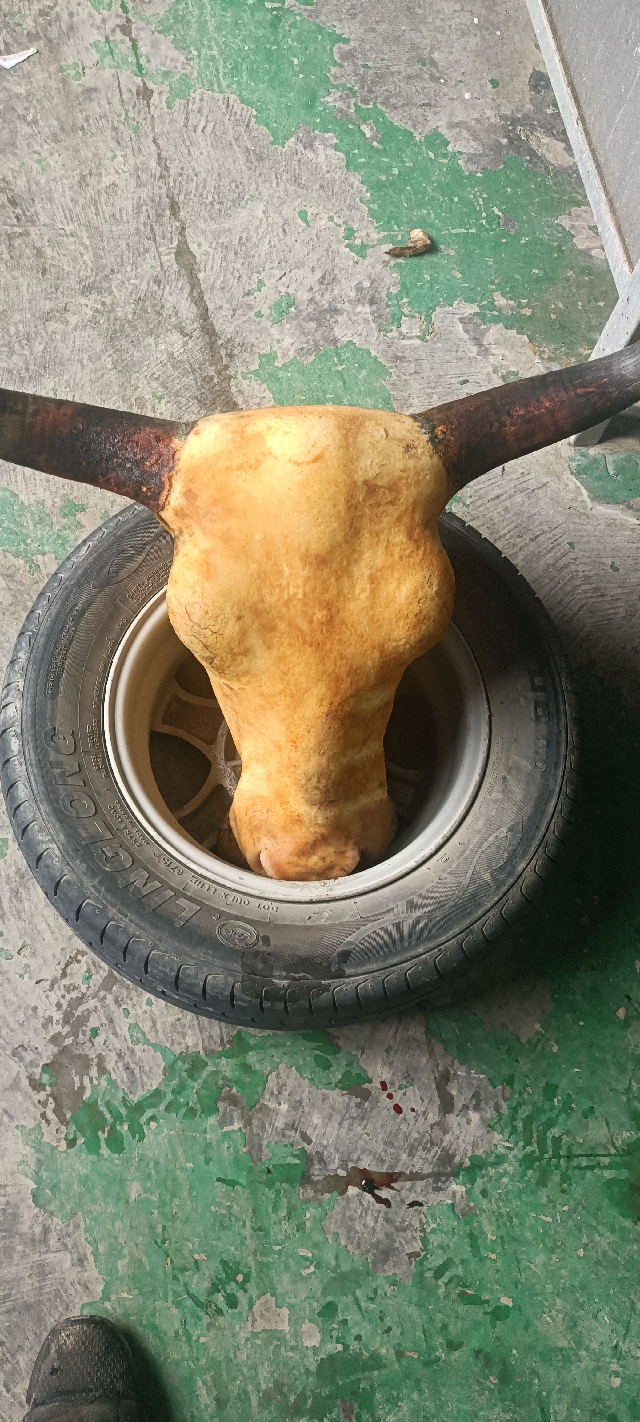 去骨，牛头肉，无科技和狠活，青海高原牦牛肉，