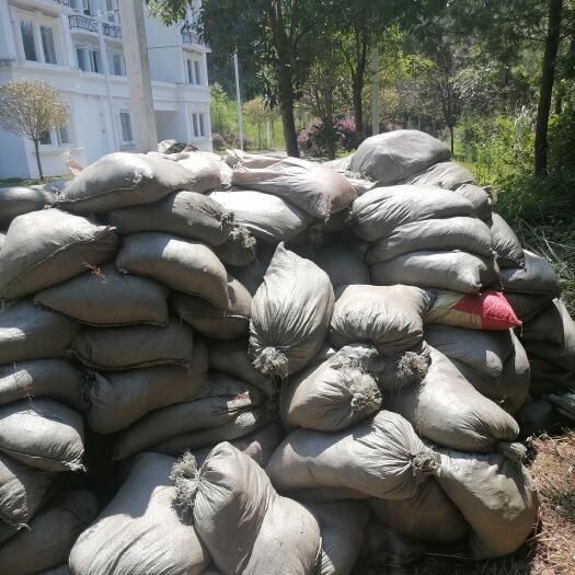 惠水县天然松毛土，没经过任何加工需要的老板联系，量大价格可以优惠