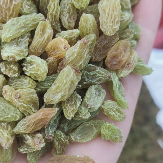 吐鲁番绿葡萄干  绿宝石，葡萄干，大小颗粒，便宜 自家种的葡萄