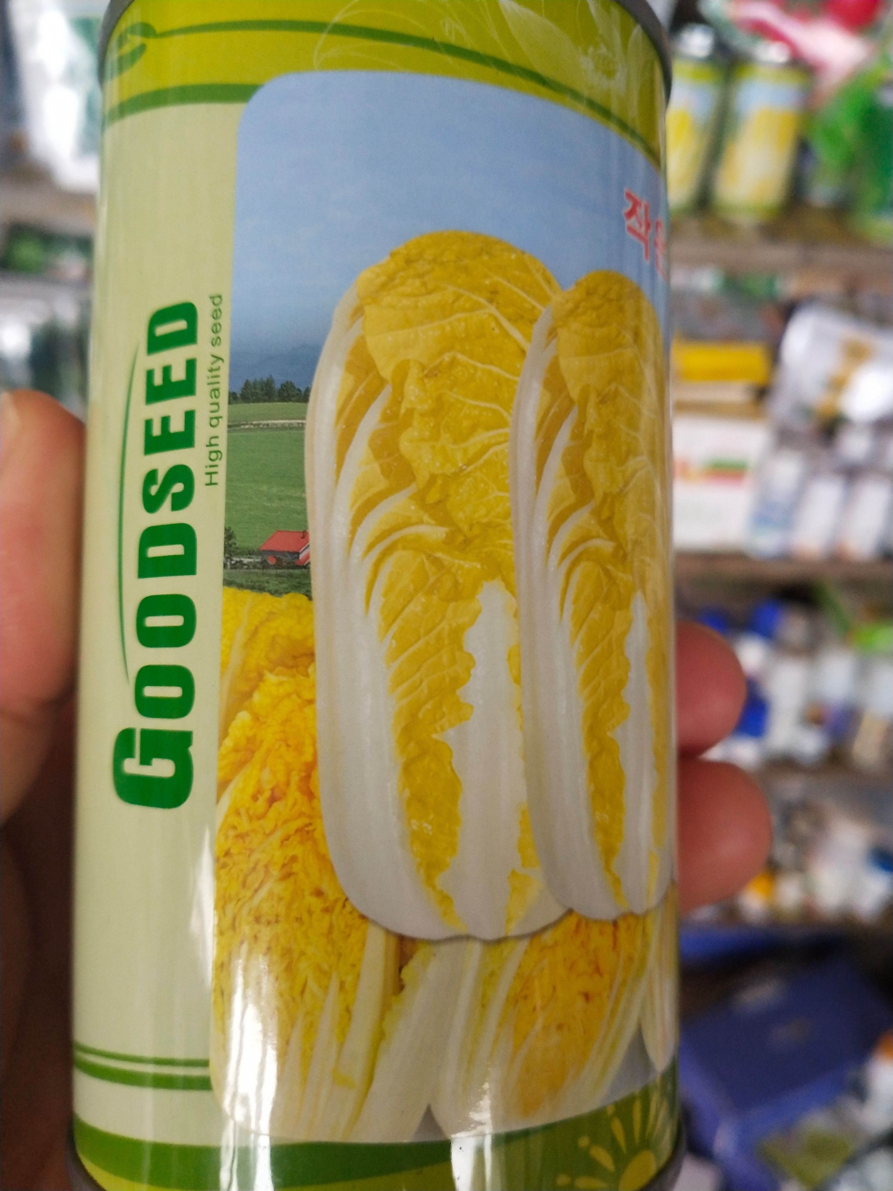 娃娃菜种子 早熟 紧实 每桶2亩