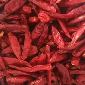 河南小椒微辣又香出油提色50斤干辣椒麻辣香锅火锅调味料香料批