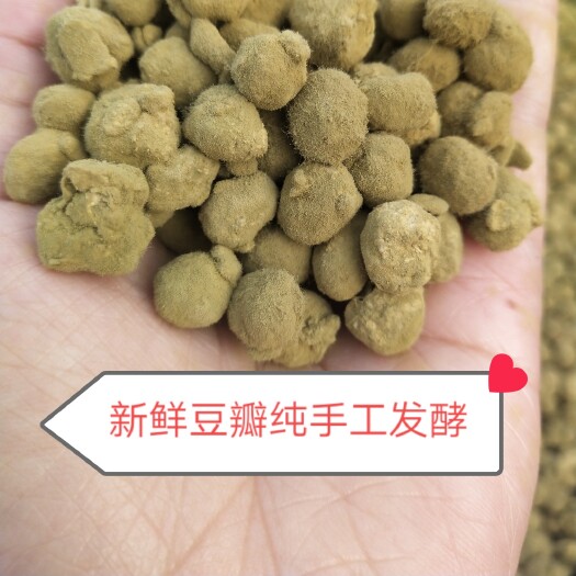 郓城县干豆豉  纯手工发酵！