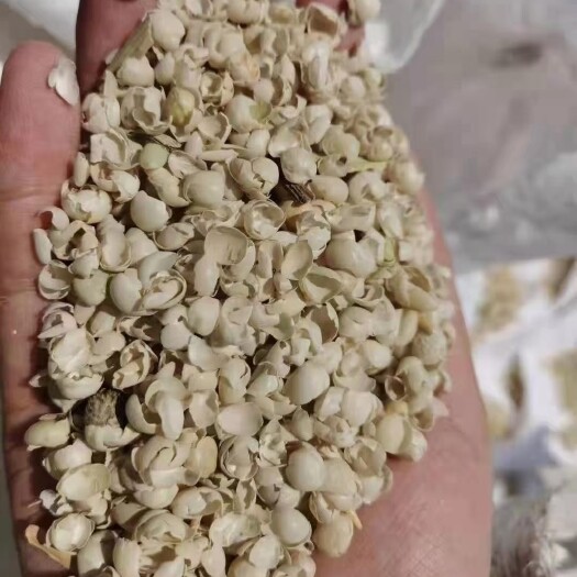 日照豆粕饲料 益海 中粮 黄豆皮 油厂提货 价格便宜