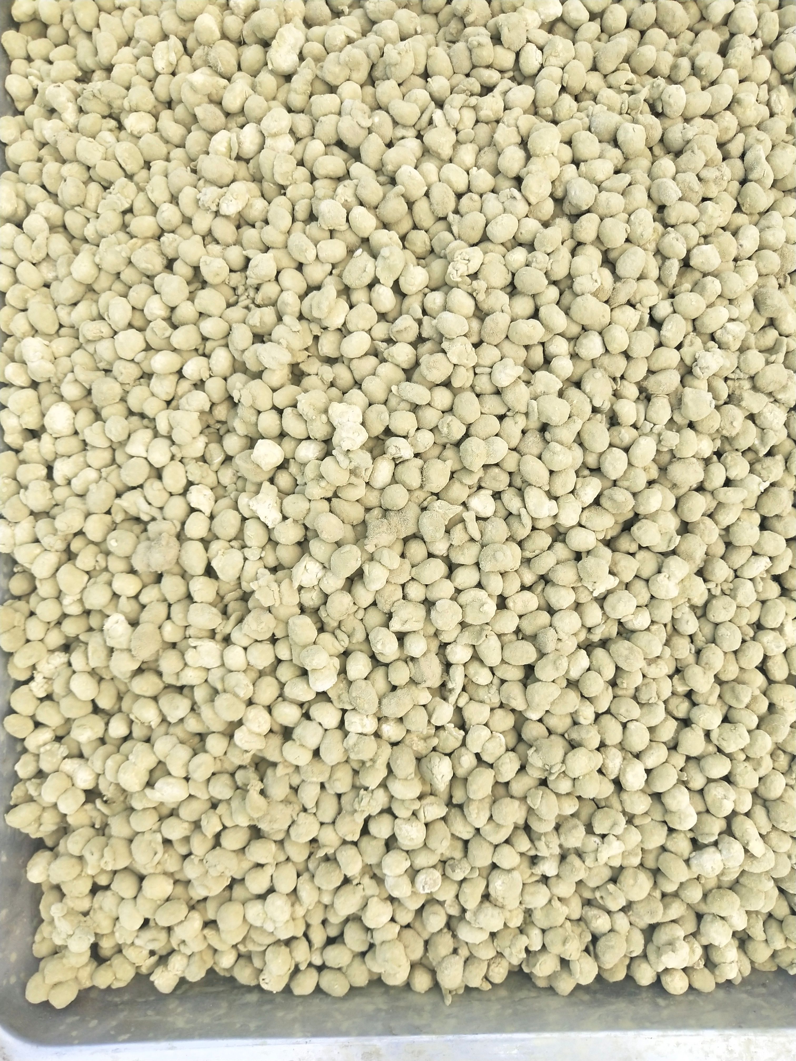 干豆豉  纯手工发酵！