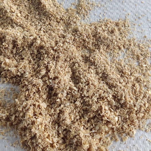 济宁麦麸，麸皮