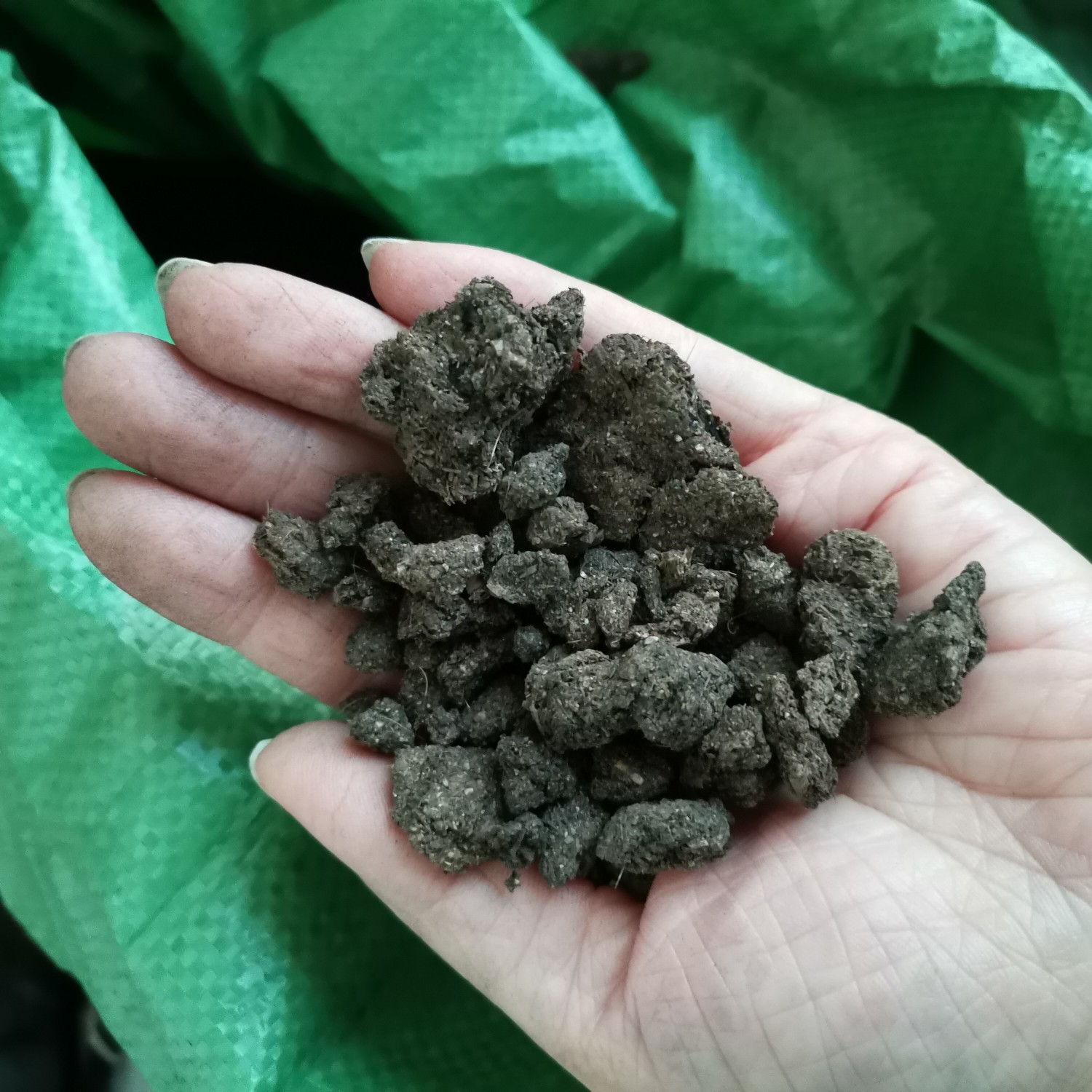 微生物有机肥  牛粪颗粒