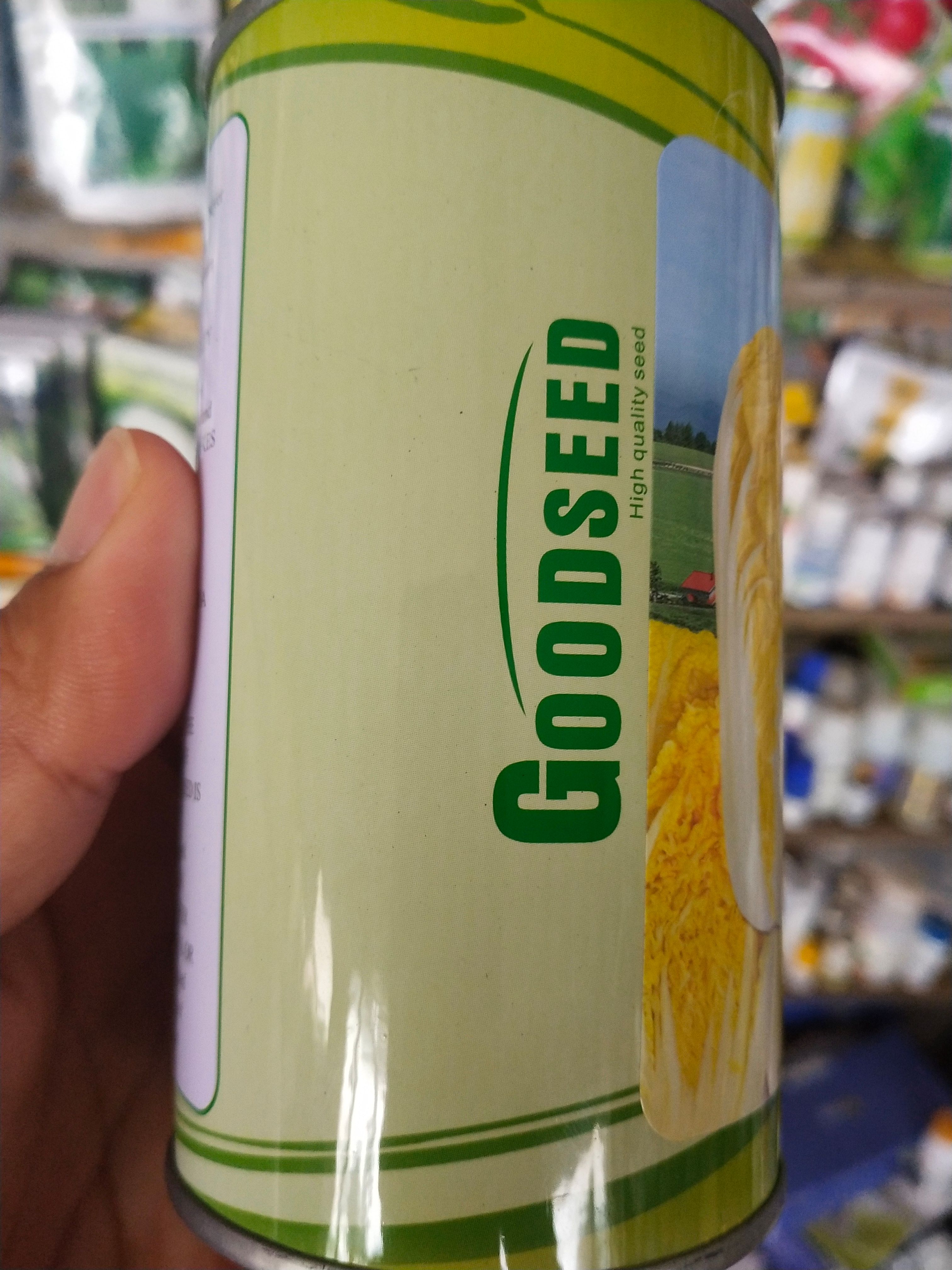 娃娃菜种子 早熟 紧实 每桶2亩